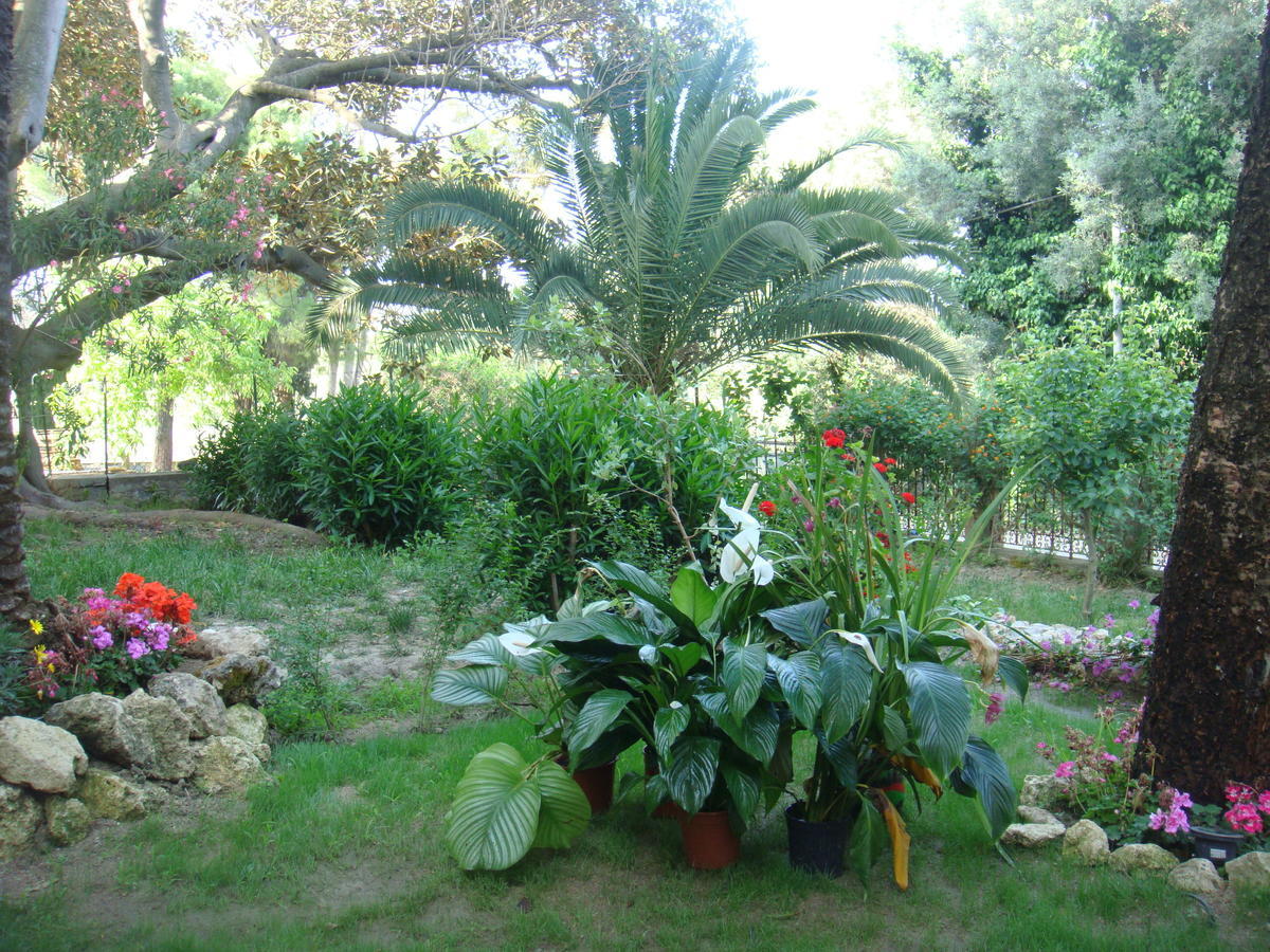 Villa La Cucullera Catanzaro Bagian luar foto
